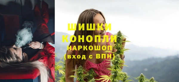 spice Богородск