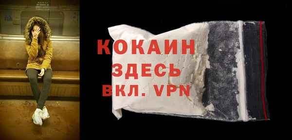 spice Богородск