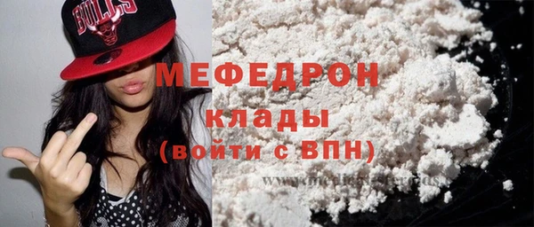 spice Богородск