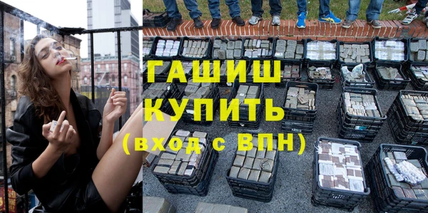 spice Богородск