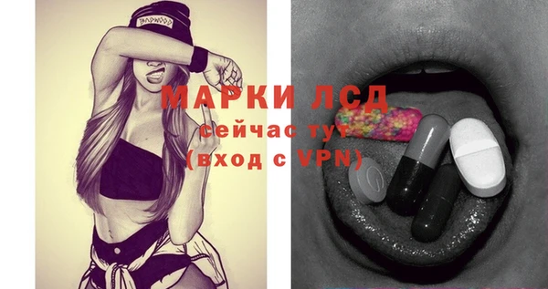 spice Богородск