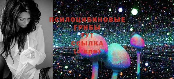гидра Заводоуковск